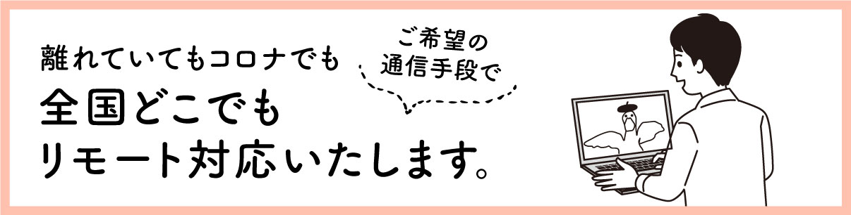 リモート打ち合わせ